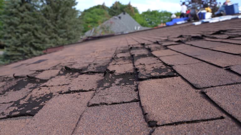 Best 4 Ply Roofing  in Tangerine, FL